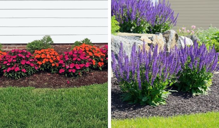 Colorful garden with flowers and plants