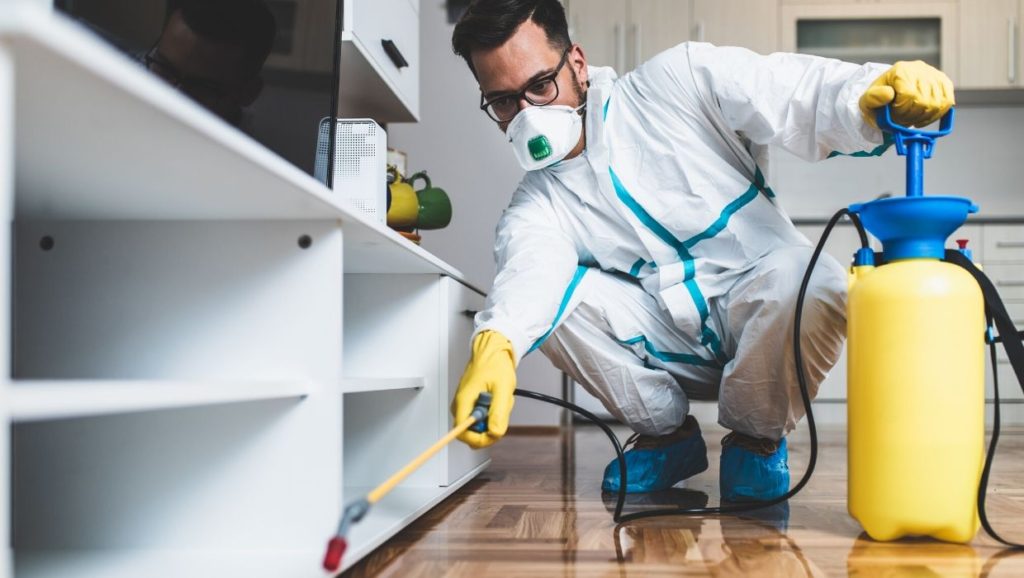 Pest control professional spraying indoors