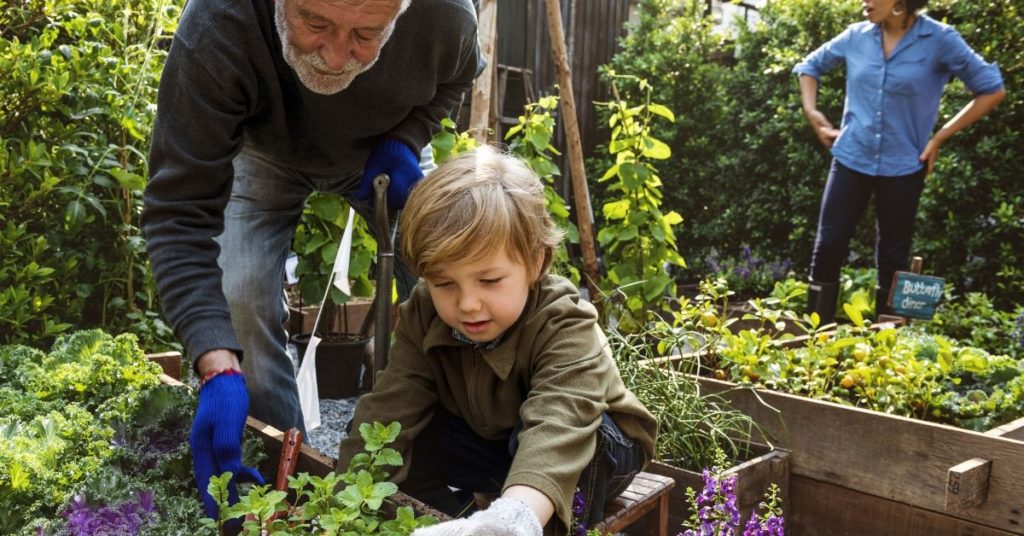 How-to-Start-a-Garden-Part-1