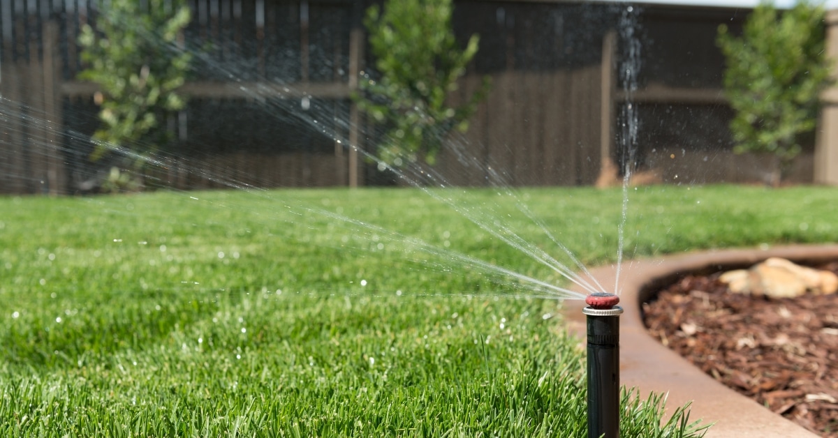 Lawn Care Tips for the Environmentally Friendly Garden