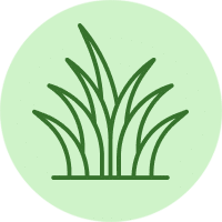 Utah County Lawn Care Fertilization