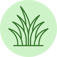 Green grass icon