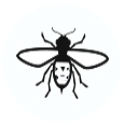Utah Pest Control Hornets