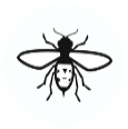 Wasp icon