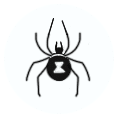 Utah Pest Control Spiders