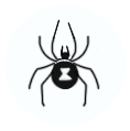 Spider Icon