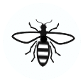 Bee icon