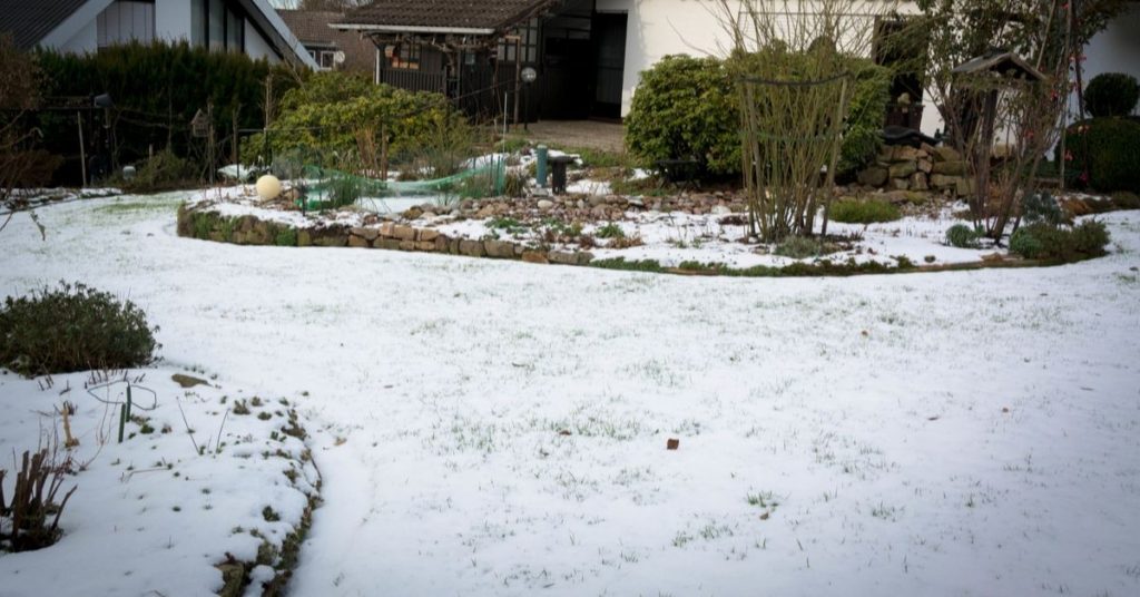 Watering Your Lawn in the Winter