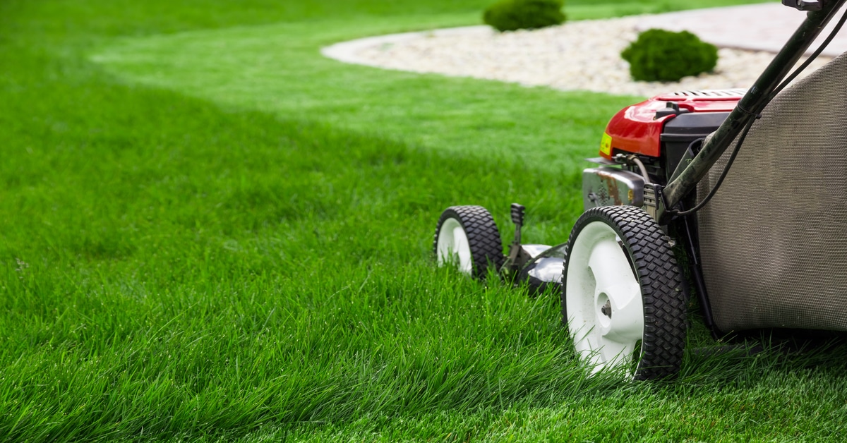 5 Reasons To Hire A Lawn Care Company