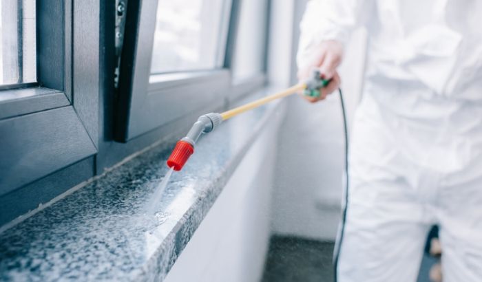 Pest control spraying on the window