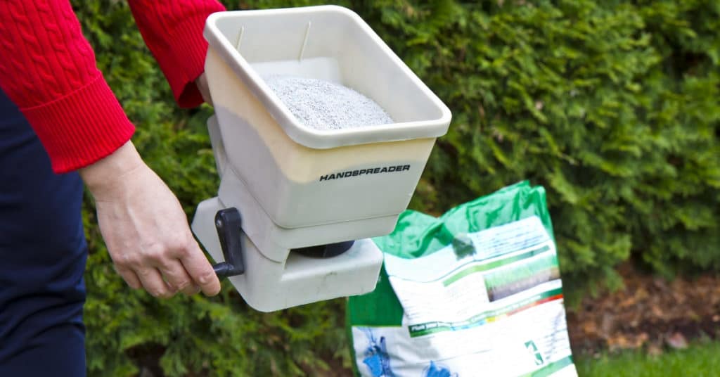 Using a manual seed spreader on a lawn