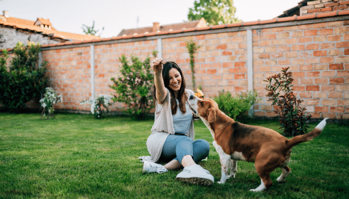 Tips To Make Your Backyard Dog-Friendly