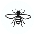 Utah Pest Control Bee