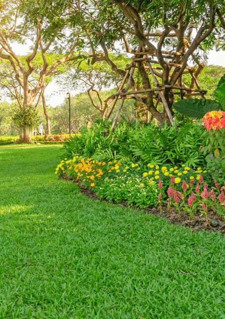 Lawn Care in Utah