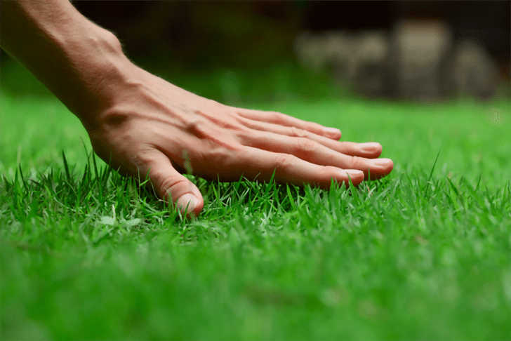 lawn care orem utah county