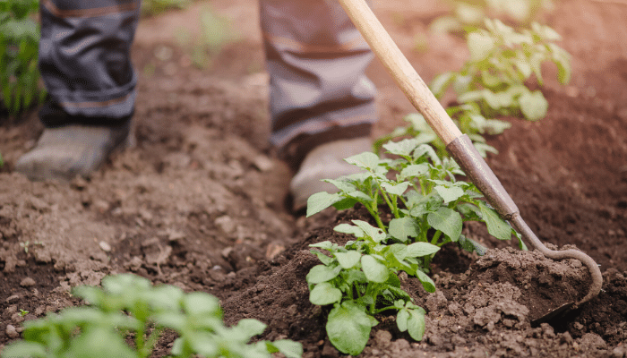 What Every Gardener Needs