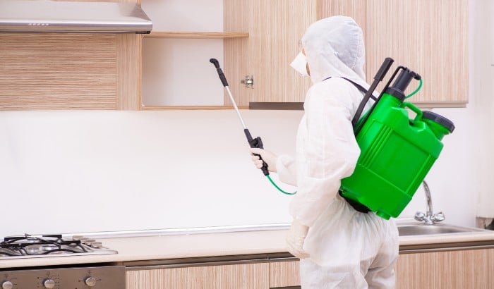 How Often Should You Spray Your Home For Bugs Summit