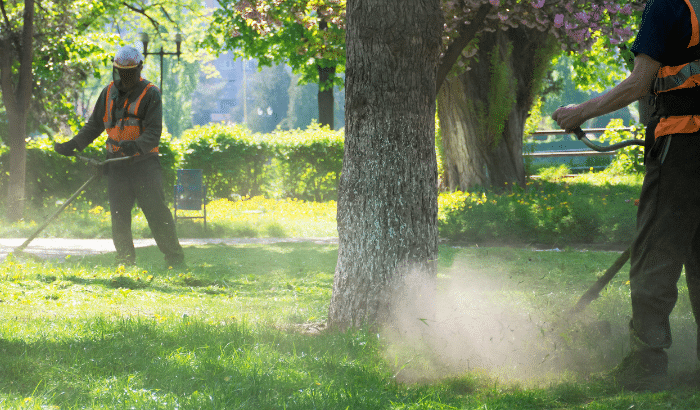 5 Reasons You Deserve To Work with a Lawn Care Company