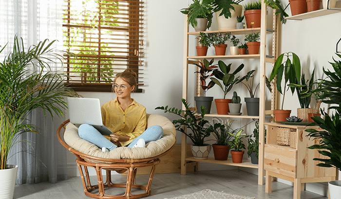 Indoor Plants That Are Harmful To Your Pets