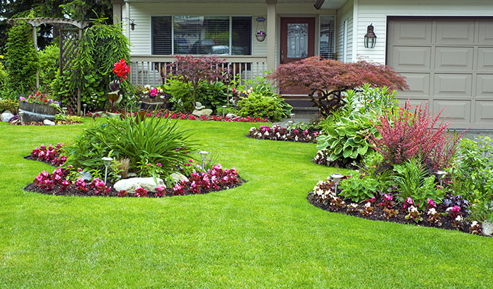 Top 4 Lawn Decoration Ideas