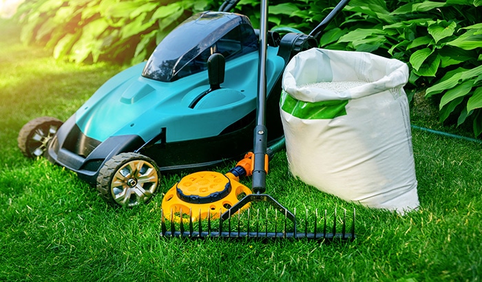 Utah Lawn Care The Ultimate Guide For All Seasons