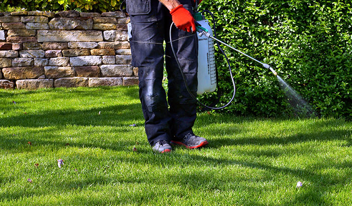 Person spraying pesticide on grass