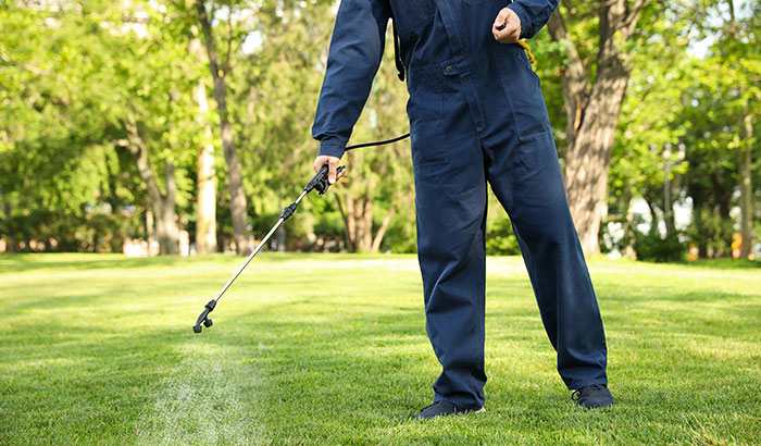 Gardener spraying lawn with pesticide