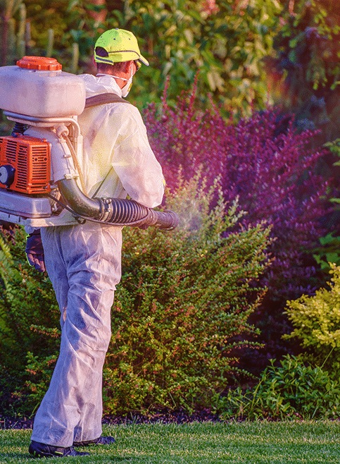 Lawn care technician spraying garden plants