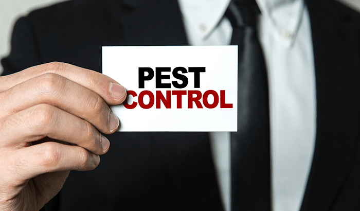 Pest control business card held by professional