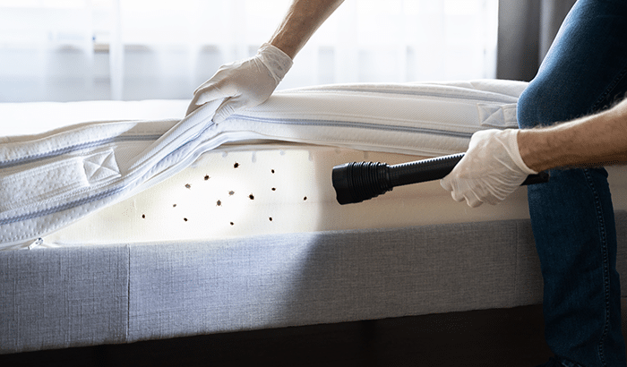 Exterminator spraying pesticide on mattress
