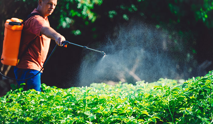 Tips for Spraying Pesticides