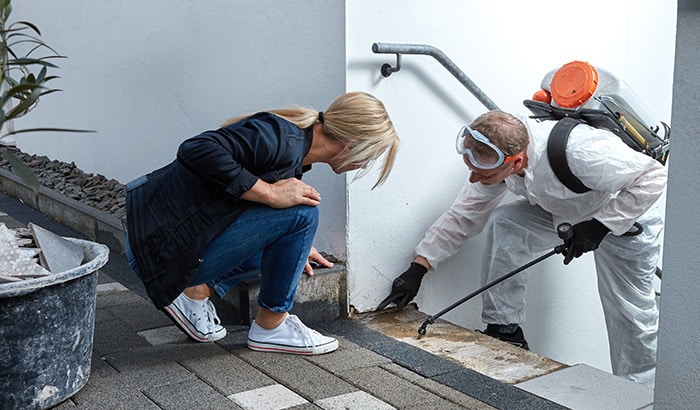 Homeowner and pest control technician inspecting exterior foundation