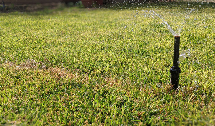 Your Total Guide to Conquering Crabgrass for Good
