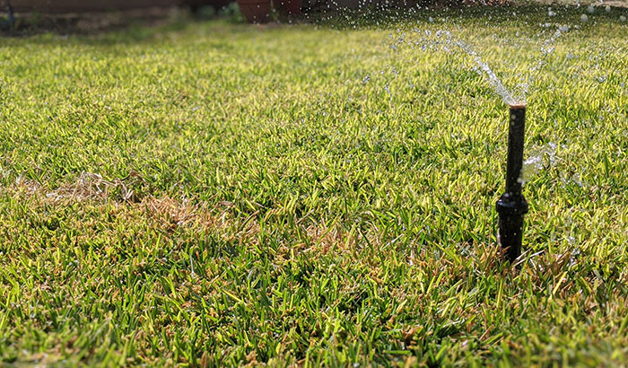 Sprinkler watering a dry lawn