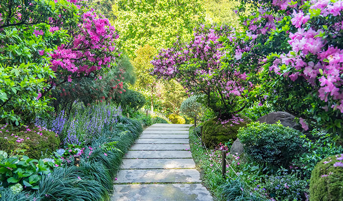 Beautiful garden path with flowers