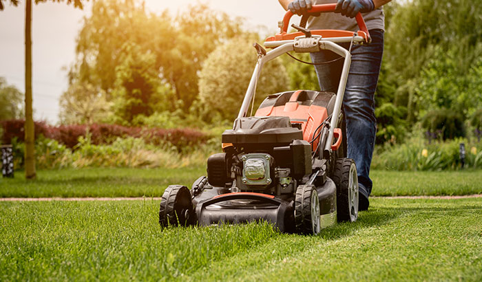 Lawn care with a lawnmower in action