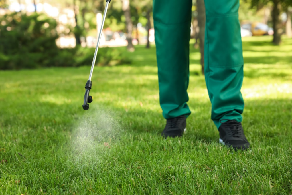 5 Ways to Get Rid of Utah Lawn Grubs