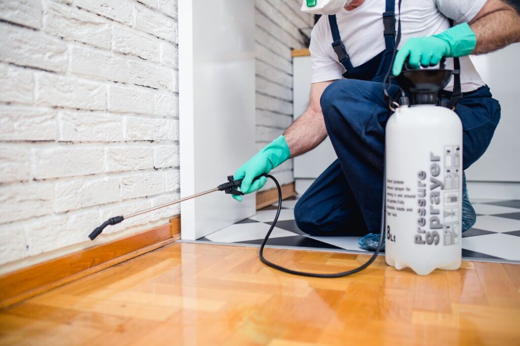 Professional Pest Control For Your Home