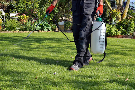 7. Pest and Disease Management: Guarding Your Lawn's Well-being