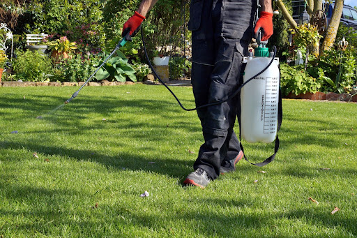 7. Pest and Disease Management: Guarding Your Lawn's Well-being