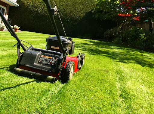 Proper Mowing Techniques The Art of Giving Your Lawn a Trim