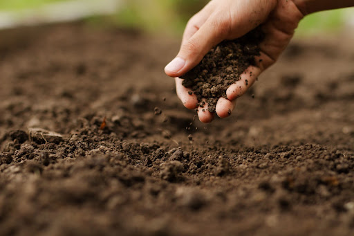 Soil Testing Unlocking the Secrets Beneath Your Feet