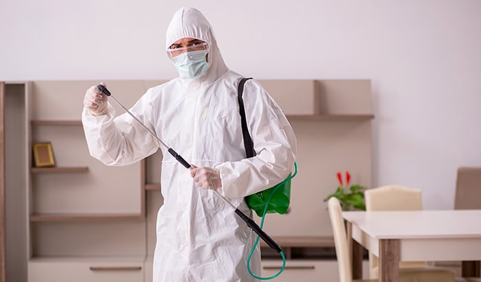 Protecting Your Home: How to Prevent and Control Pest Infestations in Utah