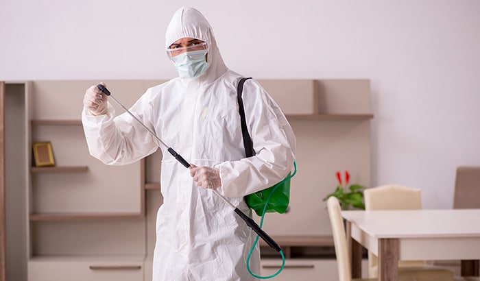Pest Control Specialist in Protective Gear