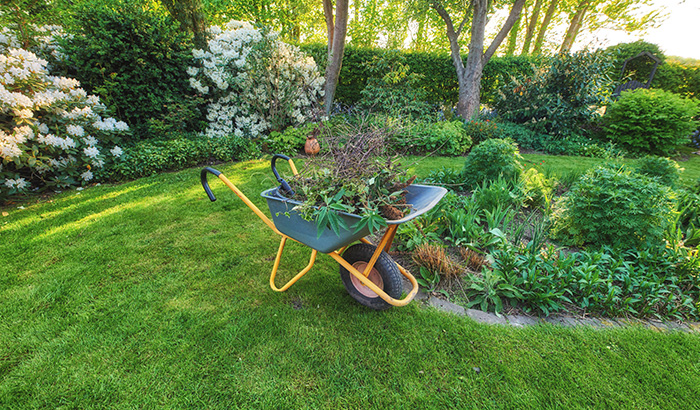 The Ultimate Utah Lawn Care Guide: Best Practices by Season