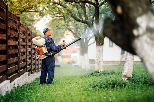 Fall prepare for overwintering pests