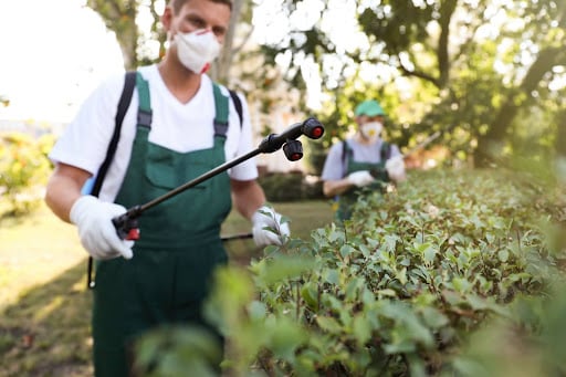 How often do I need pest control services
