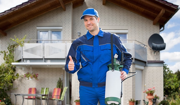 What Time of Year Is Best To Get Pest Control?