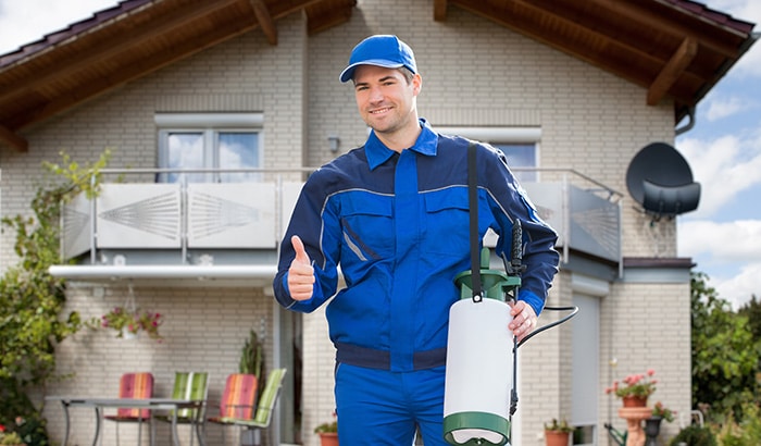 Pest Control Worker with Sprayer