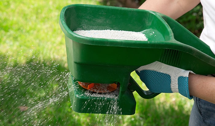 A handheld fertilizer spreader in use, showcasing the importance of even distribution for healthy lawn care.